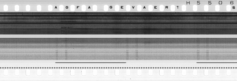 FR751142302_RDN_S_0189_1979_0128 PNG
