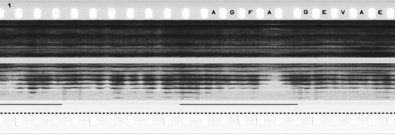 FR751142302_RDN_S_0189_1979_0218 PNG