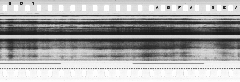 FR751142302_RDN_S_0189_1979_0251 PNG