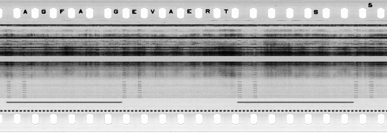 FR751142302_RDN_S_0190_1979_0077 PNG