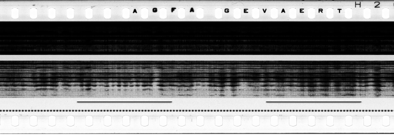 FR751142302_RDN_S_0193_1979_0099 PNG