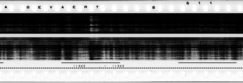 FR751142302_RDN_S_0193_1979_0110 PNG