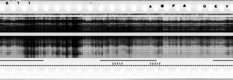 FR751142302_RDN_S_0193_1979_0180 PNG