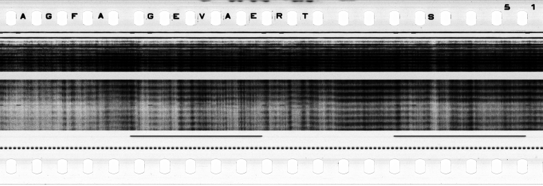 FR751142302_RDN_S_0194_1979_0062 PNG