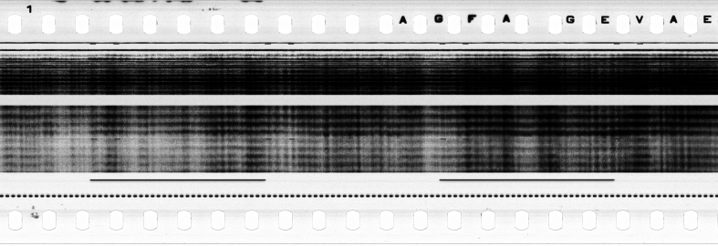 FR751142302_RDN_S_0194_1979_0066 PNG