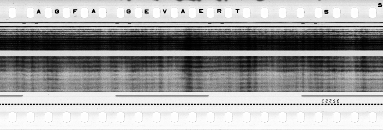 FR751142302_RDN_S_0194_1979_0077 PNG