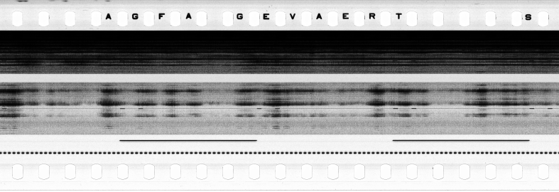 FR751142302_RDN_S_0194_1979_0101 PNG