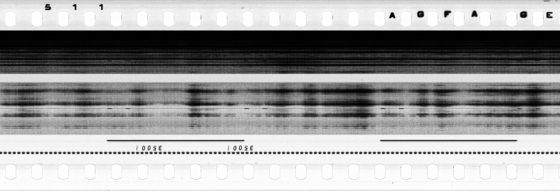 FR751142302_RDN_S_0194_1979_0102 PNG