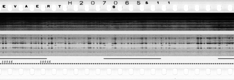 FR751142302_RDN_S_0194_1979_0112 PNG