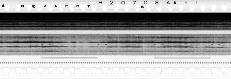 FR751142302_RDN_S_0194_1979_0145 PNG