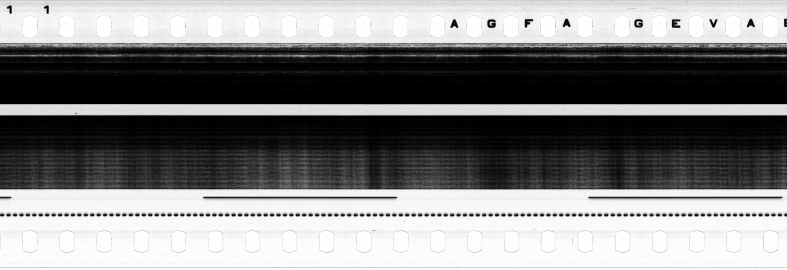 FR751142302_RDN_S_0194_1979_0200 PNG