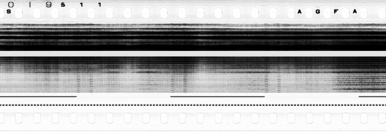 FR751142302_RDN_S_0194_1979_0251 PNG