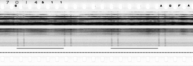 FR751142302_RDN_S_0194_1979_0266 PNG