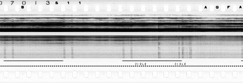 FR751142302_RDN_S_0194_1979_0269 PNG