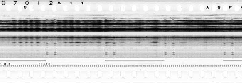 FR751142302_RDN_S_0194_1979_0272 PNG