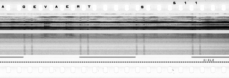FR751142302_RDN_S_0194_1979_0276 PNG