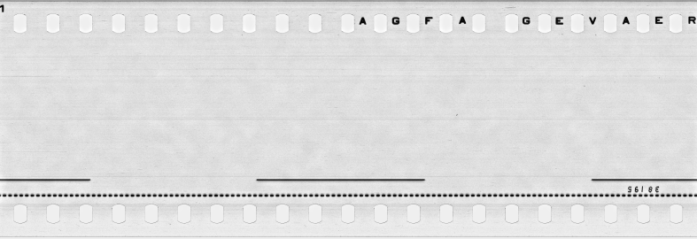 FR751142302_RDN_S_0195_1979_0055 PNG
