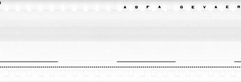 FR751142302_RDN_S_0195_1979_0129 PNG