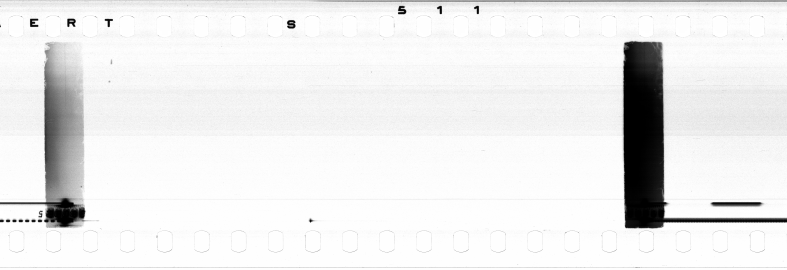FR751142302_RDN_S_0195_1979_0157 PNG