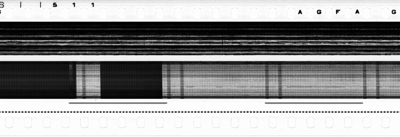 FR751142302_RDN_S_0195_1979_0192 PNG