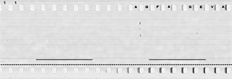 FR751142302_RDN_S_0195_1979_0221 PNG