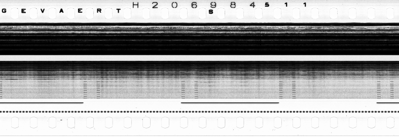 FR751142302_RDN_S_0196_1979_0046 PNG