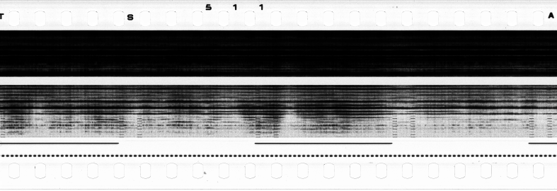 FR751142302_RDN_S_0196_1979_0102 PNG