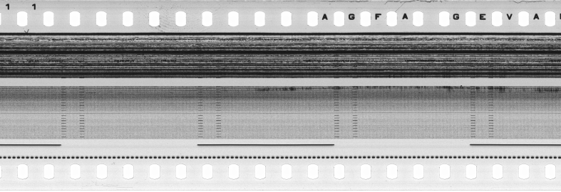 FR751142302_RDN_S_0201_1979_0131 PNG