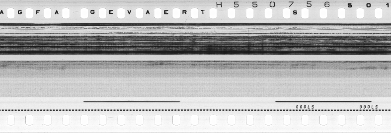 FR751142302_RDN_S_0203_1979_0100 PNG