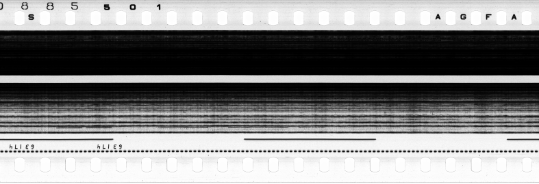 FR751142302_RDN_S_0206_1979_0032 PNG