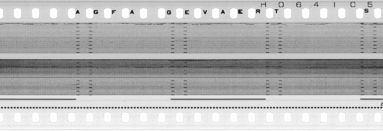 FR751142302_RDN_S_0215_1979_0115 PNG