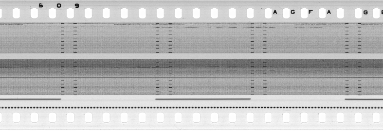 FR751142302_RDN_S_0215_1979_0119 PNG