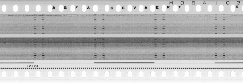 FR751142302_RDN_S_0215_1979_0121 PNG
