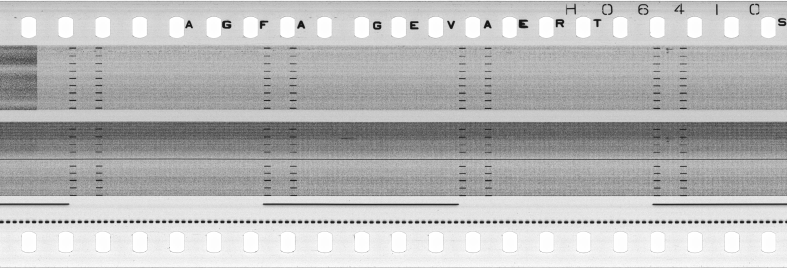 FR751142302_RDN_S_0215_1979_0127 PNG