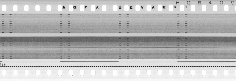 FR751142302_RDN_S_0215_1979_0136 PNG