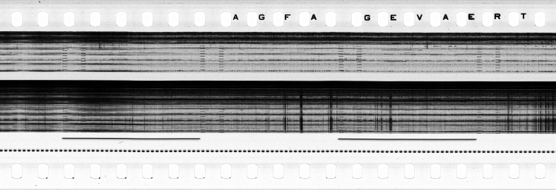FR751142302_RDN_S_0216_1979_0039 PNG