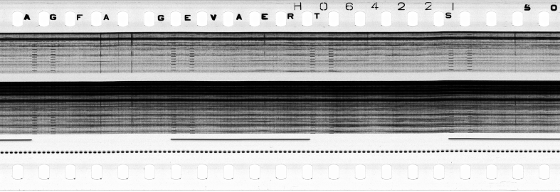 FR751142302_RDN_S_0216_1979_0077 PNG