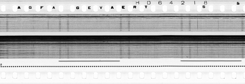 FR751142302_RDN_S_0216_1979_0086 PNG