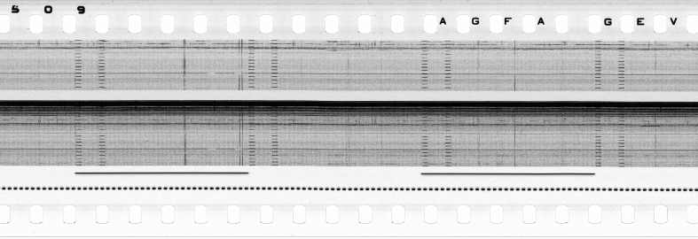 FR751142302_RDN_S_0216_1979_0102 PNG