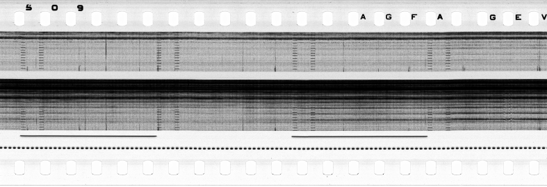 FR751142302_RDN_S_0216_1979_0111 PNG