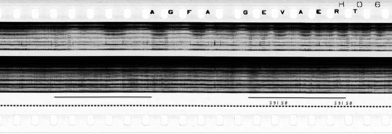 FR751142302_RDN_S_0216_1979_0179 PNG