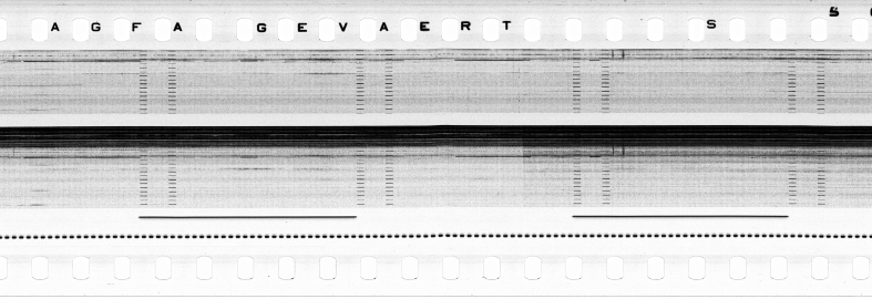 FR751142302_RDN_S_0216_1979_0232 PNG