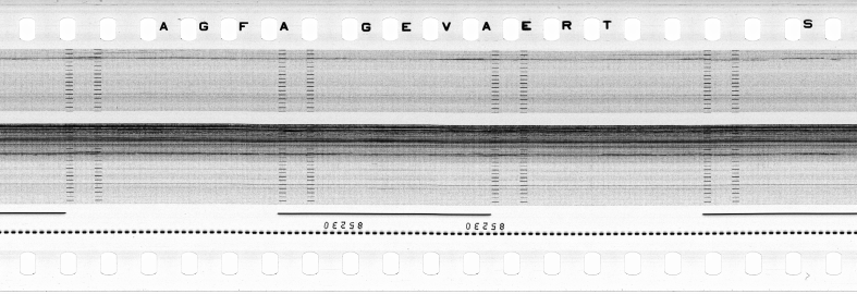 FR751142302_RDN_S_0216_1979_0271 PNG