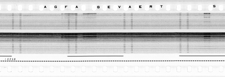 FR751142302_RDN_S_0216_1979_0274 PNG