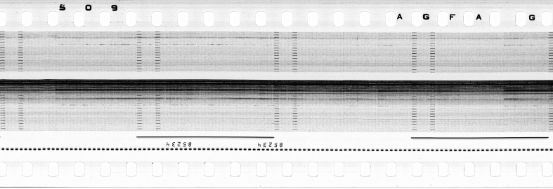 FR751142302_RDN_S_0216_1979_0281 PNG