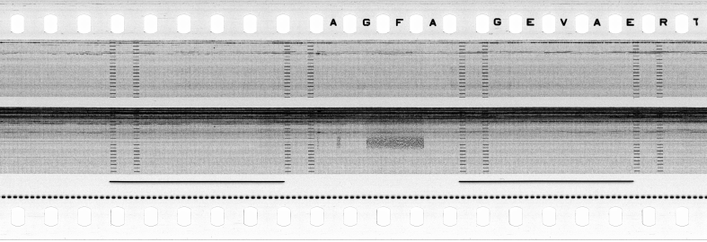 FR751142302_RDN_S_0217_1979_0100 PNG