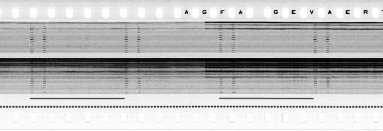 FR751142302_RDN_S_0217_1979_0106 PNG