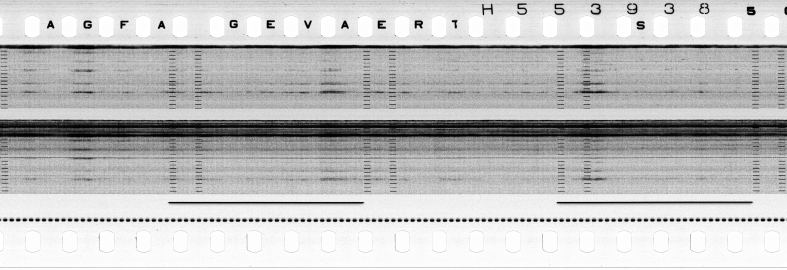 FR751142302_RDN_S_0217_1979_0135 PNG