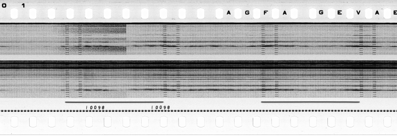FR751142302_RDN_S_0217_1979_0139 PNG
