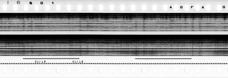 FR751142302_RDN_S_0217_1979_0202 PNG